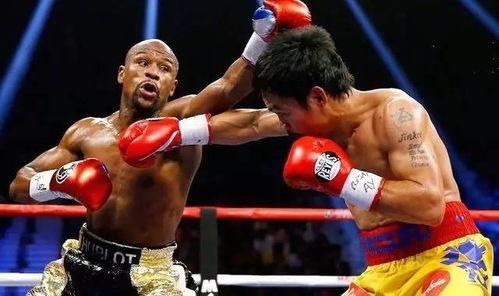 吃瓜娱乐拳击比赛视频播放,吃瓜群众围观精彩拳击比赛视频